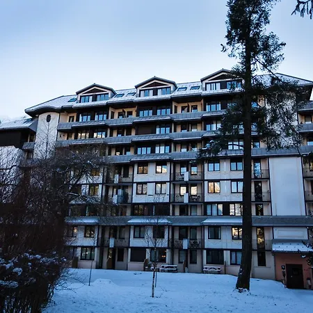 Chamois Blanc 308 * Chamonix